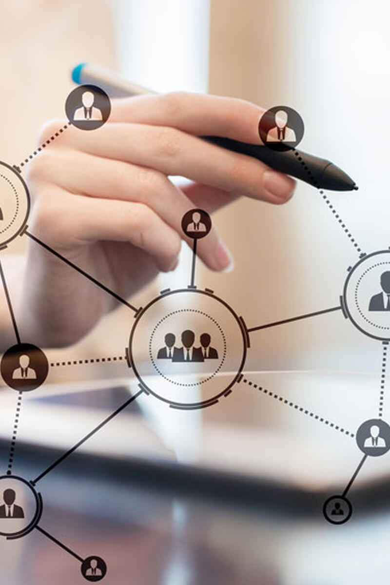 Conseils, gestion, organisation